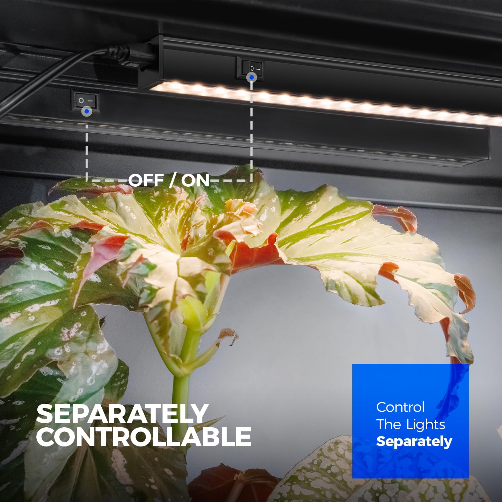 Barrina held in hand to show 1ft scale and compact, space-saving benefit