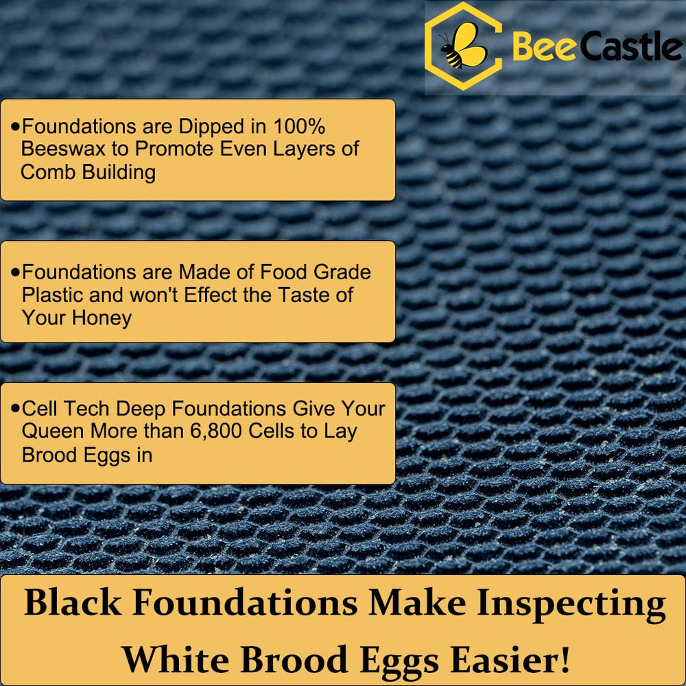 BeeCastle size scale with ruler showing correct Langstroth dimensions for compatibility