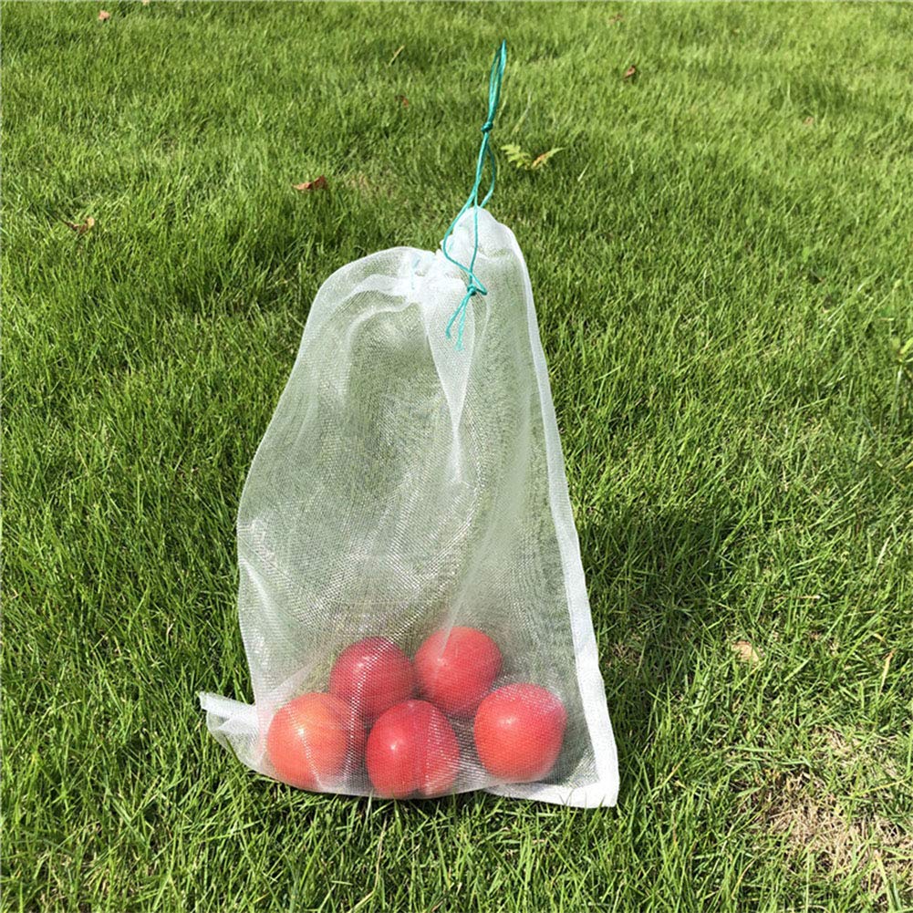 Belit bag on plants in garden showing discreet non-chemical pest protection benefit