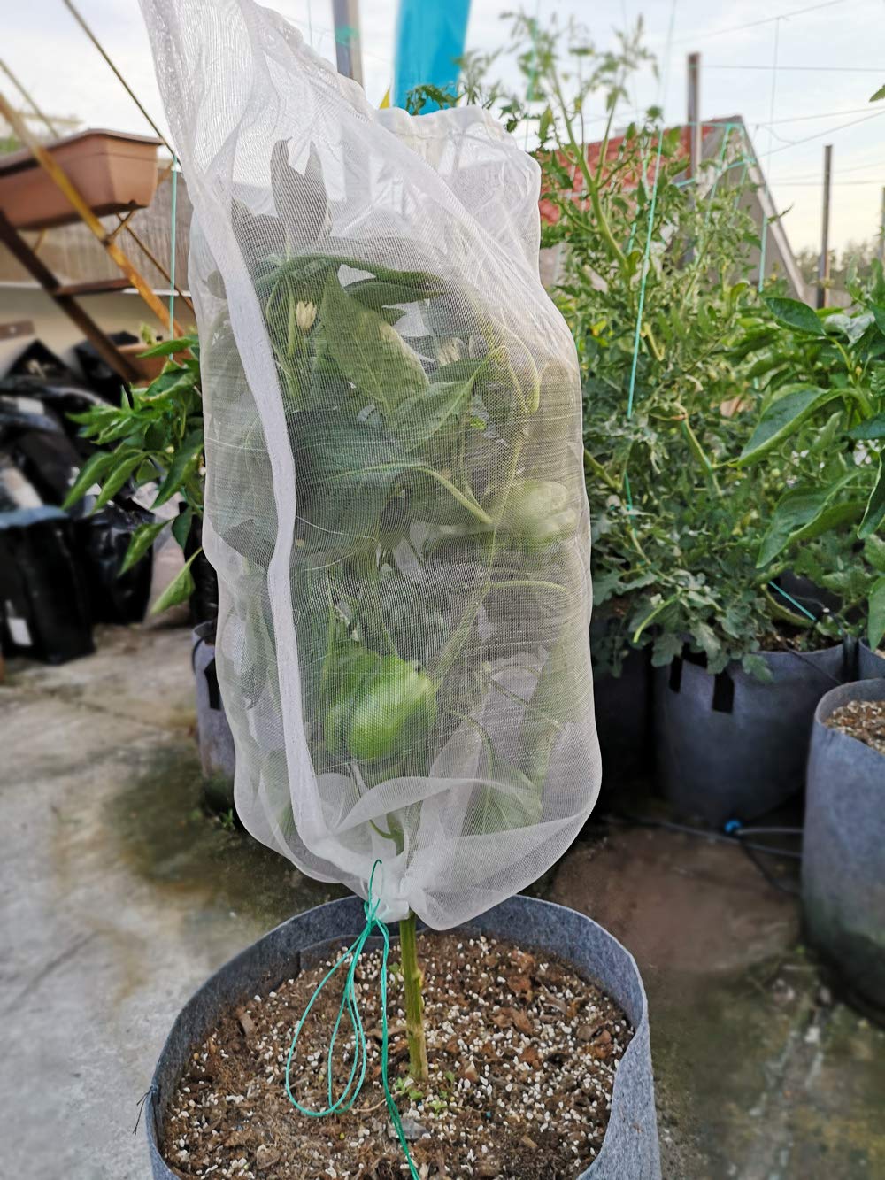 Belit washed mesh bags stacked drying ready for reuse benefit
