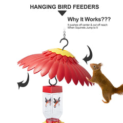 Beserie dome in use with hummingbird perched illustrating perch benefit