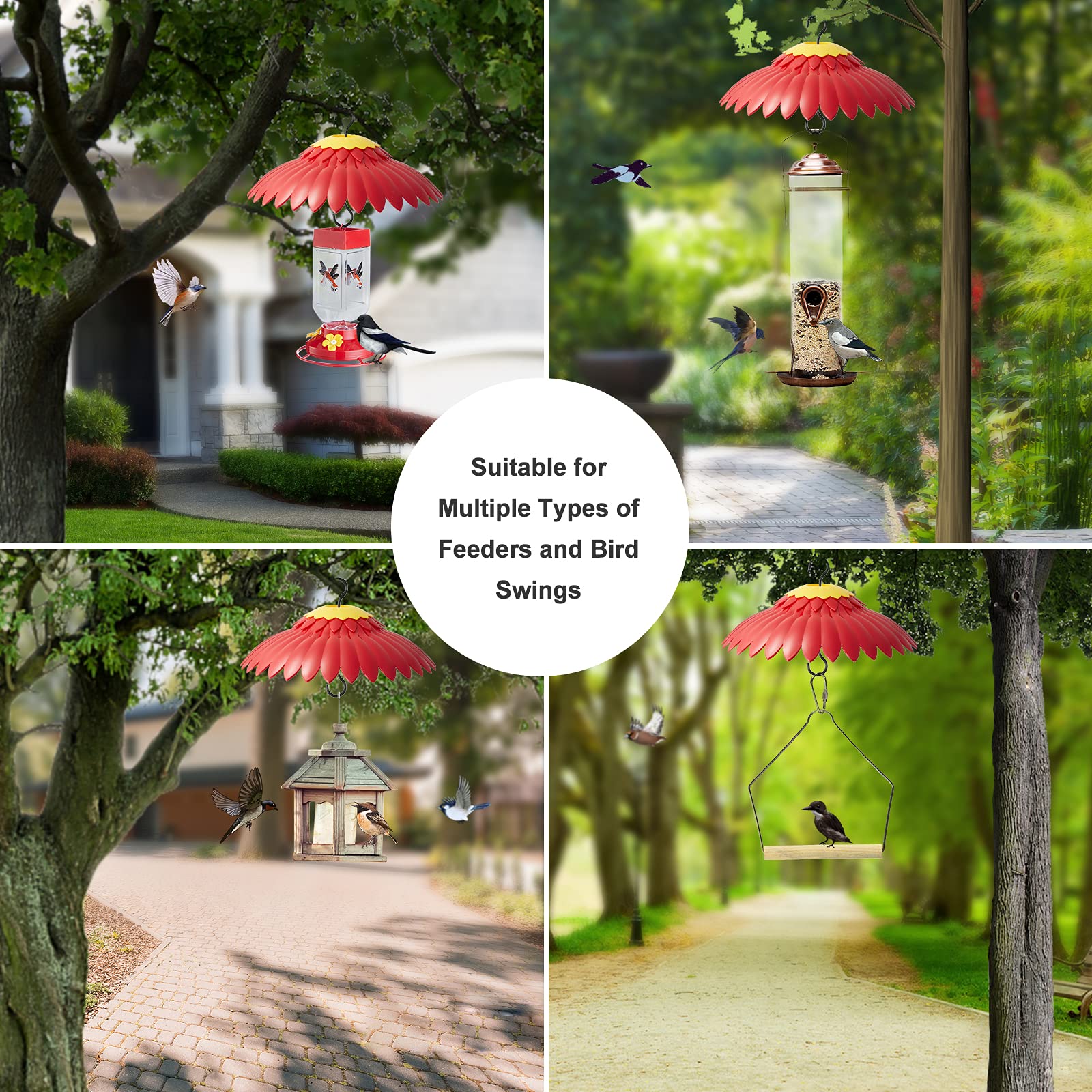 Beserie dome hanging in garden depicts attractive setup for feeders
