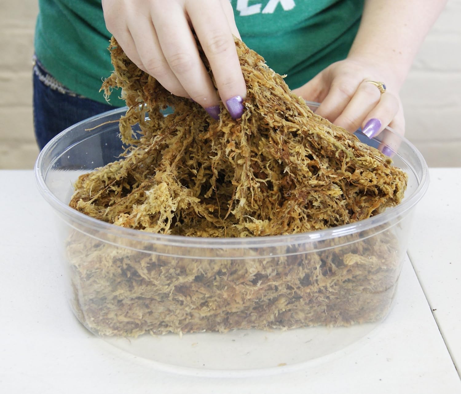 besgrow hydrated moss expanded to demonstrate 12L equivalent volume