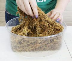 besgrow hydrated moss expanded to demonstrate 12L equivalent volume