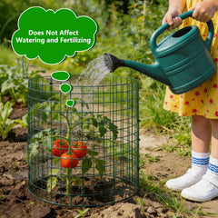 Bigwish assembled cage around a young seedling protecting it from animals