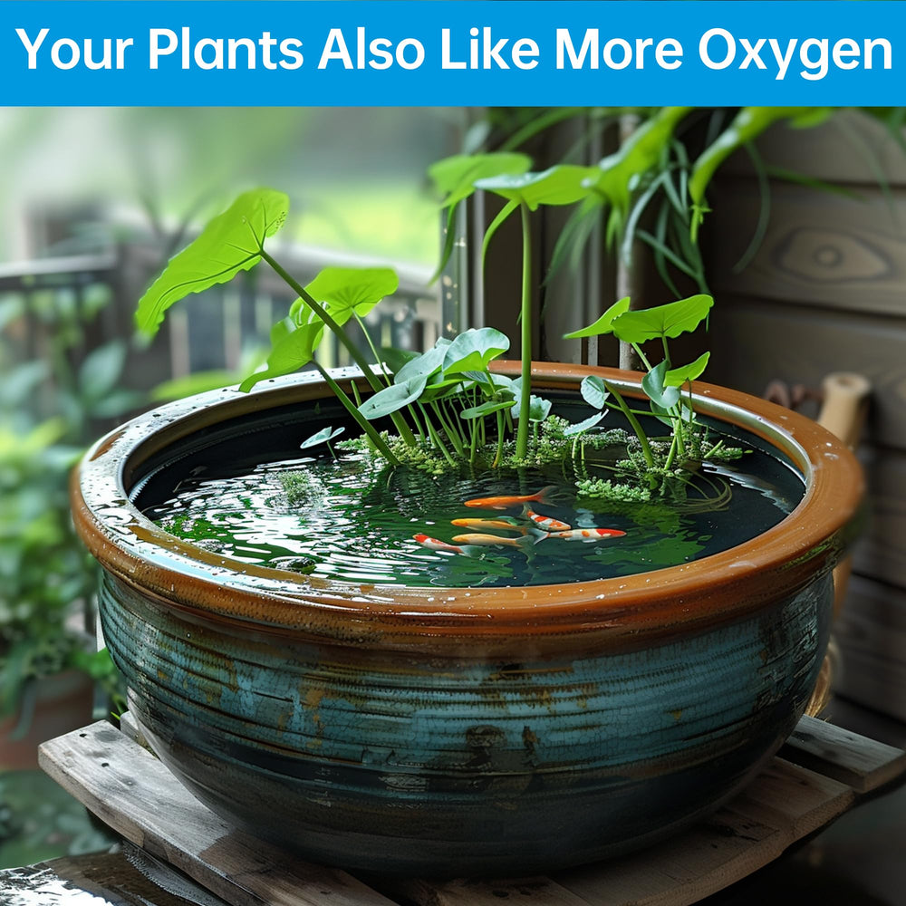 Biling aerator producing bubbles in pond improving oxygen