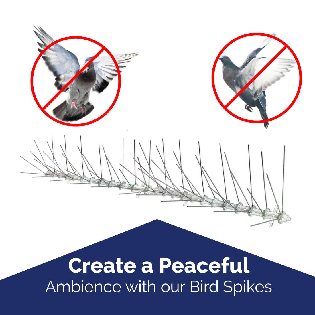 Bird-X rooftop ledge installation illustrating long-term outdoor protection