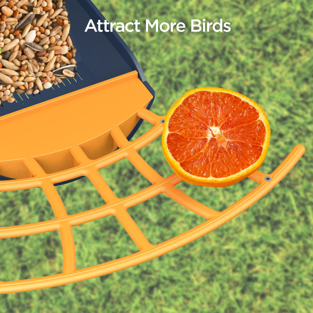 Birdkiss night vision capture showing clear nocturnal detail and benefit