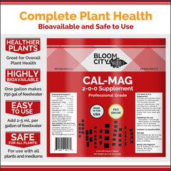 Bloom City bottle staged with healthy houseplants demonstrating improved foliage