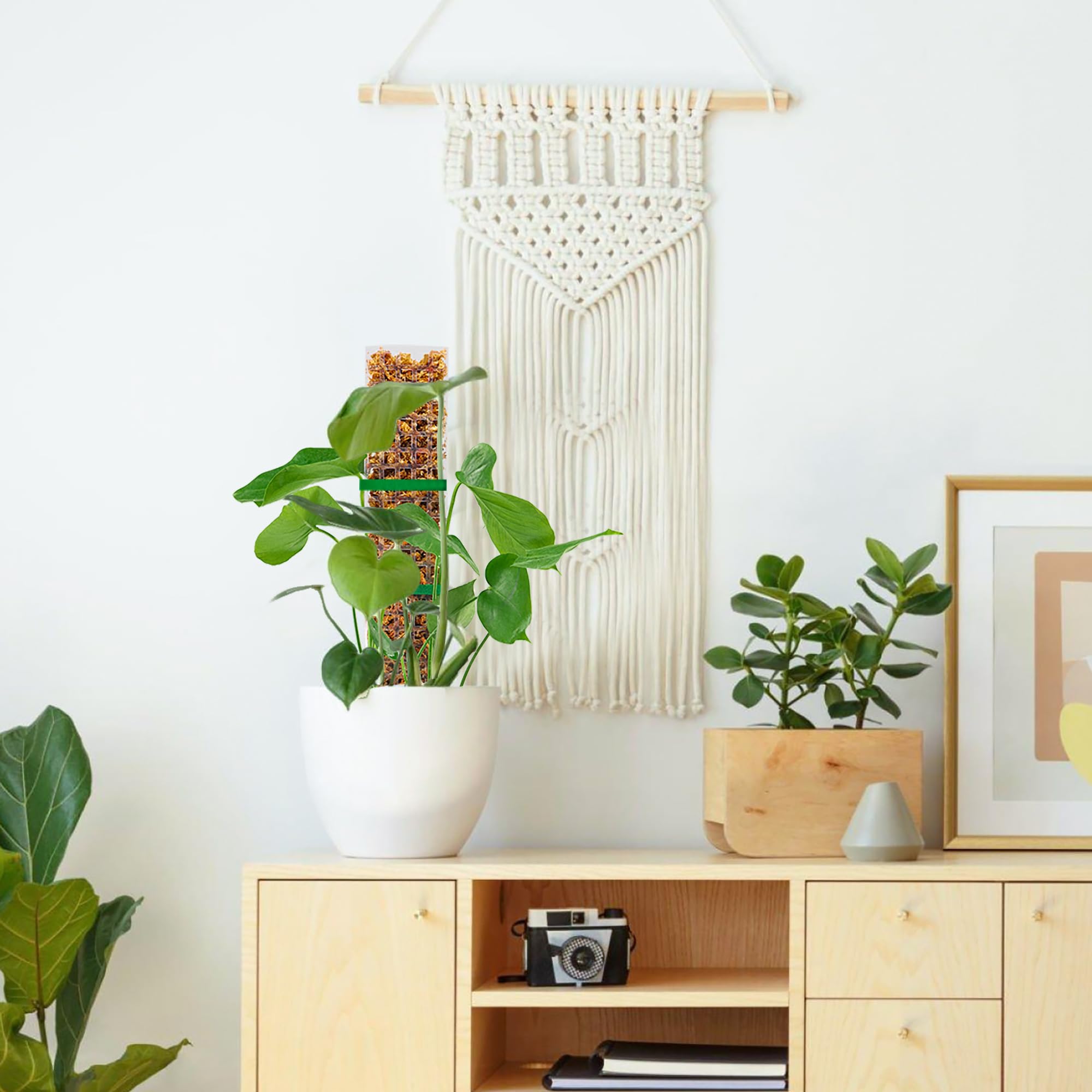 Bluepro pole on shelf with plants demonstrating tidy styling and support benefit