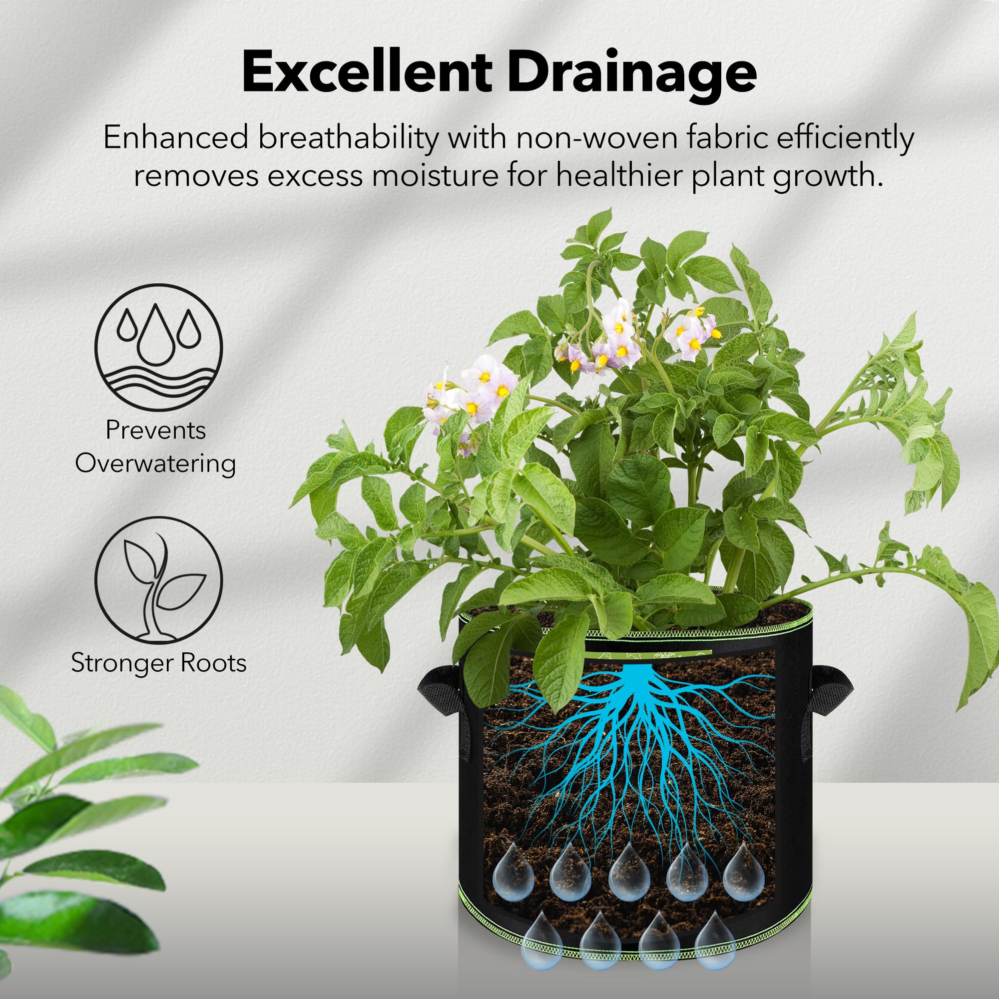 BN-LINK grow bag filled with soil and a tomato plant promoting healthy roots