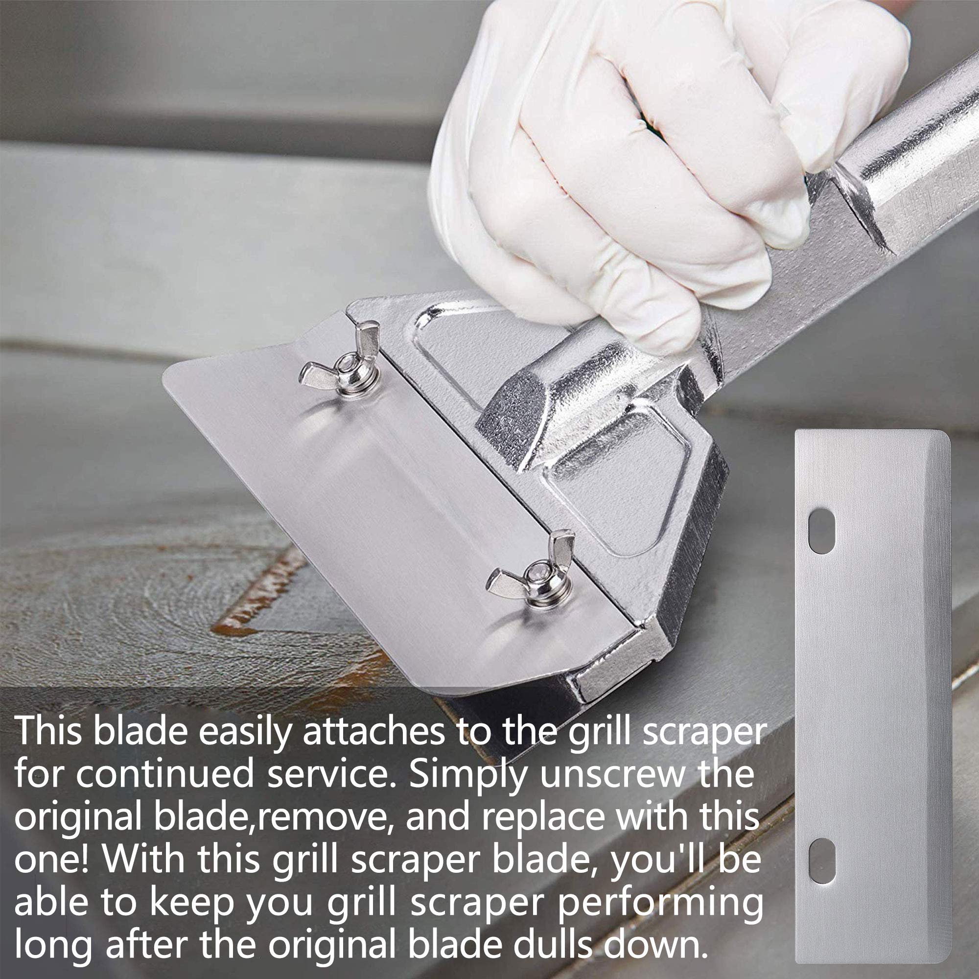 BOLEXINO stainless surface reflection on blade showing rust-resistant finish and durability