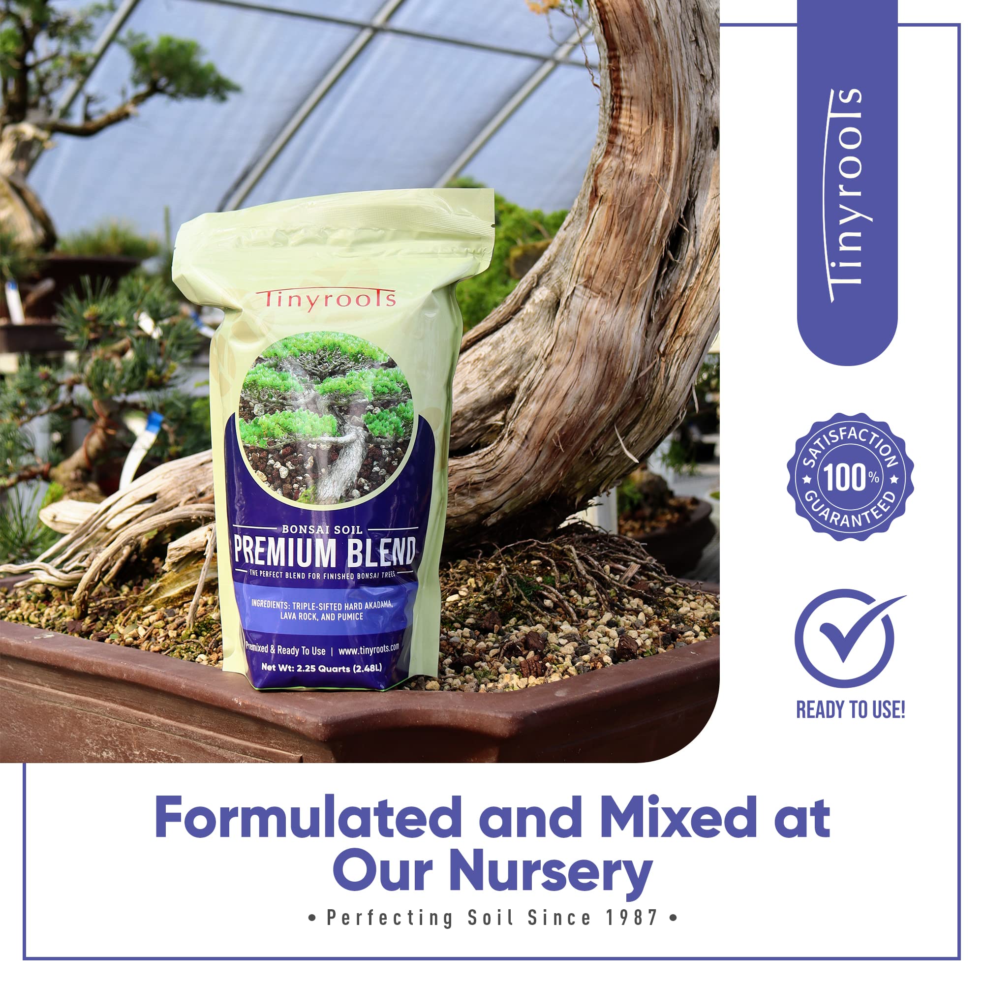 Bonsai Outlet blended soil in tray showing uniform particle sizing