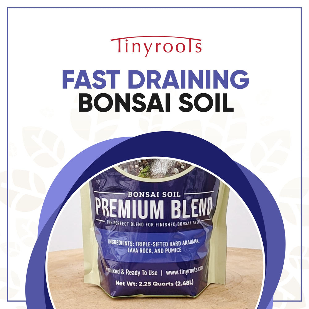 Bonsai Outlet pouring soil into bonsai pot for quick repotting