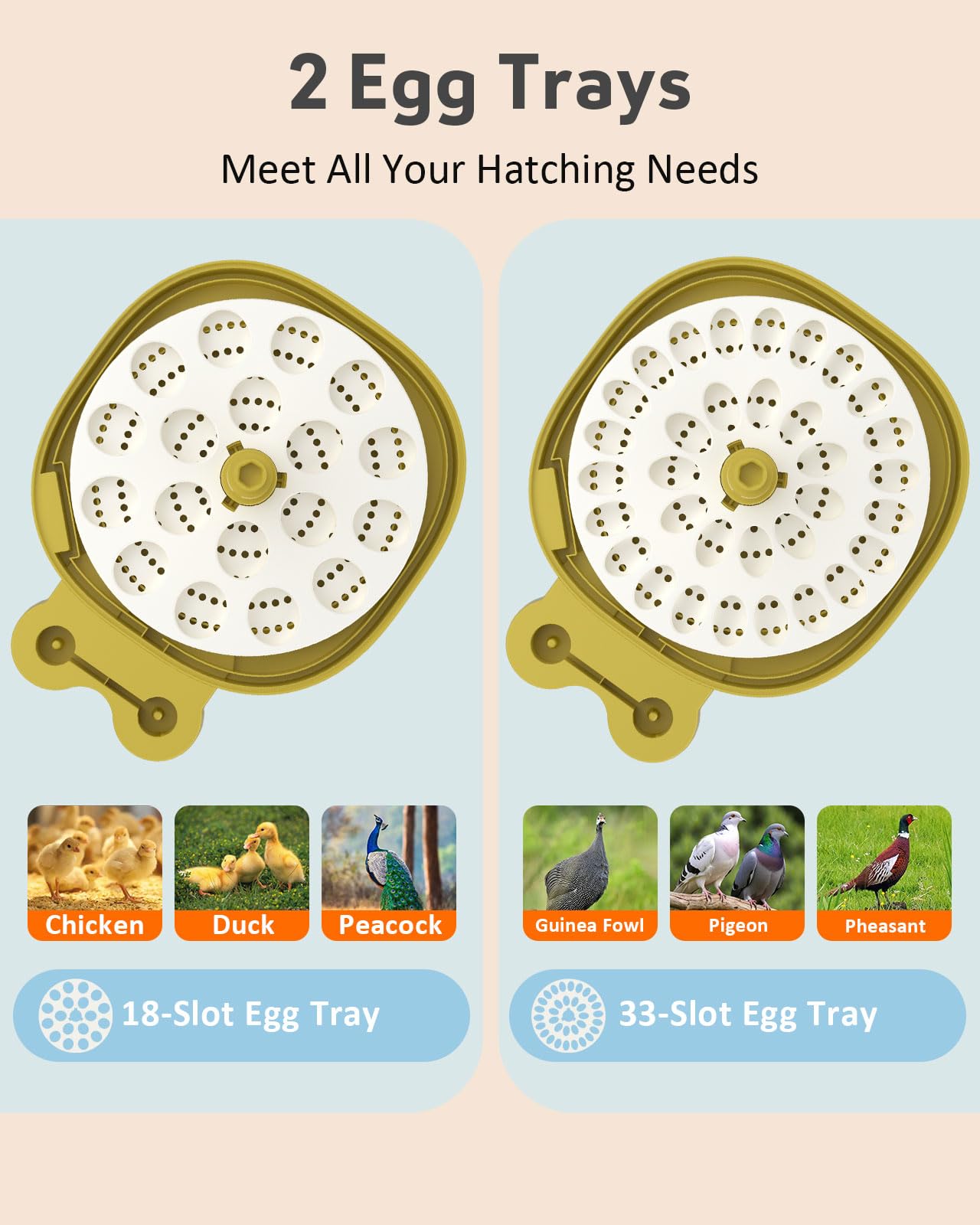 BOXTREN adjustable egg trays loaded with eggs for versatile capacity benefit