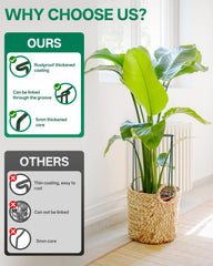 Breeze Touch single stake pressed into pot offering quick easy plant support