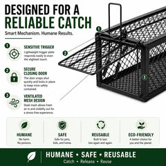 Bullseye trap in use with captured rodent illustrating secure containment without injury