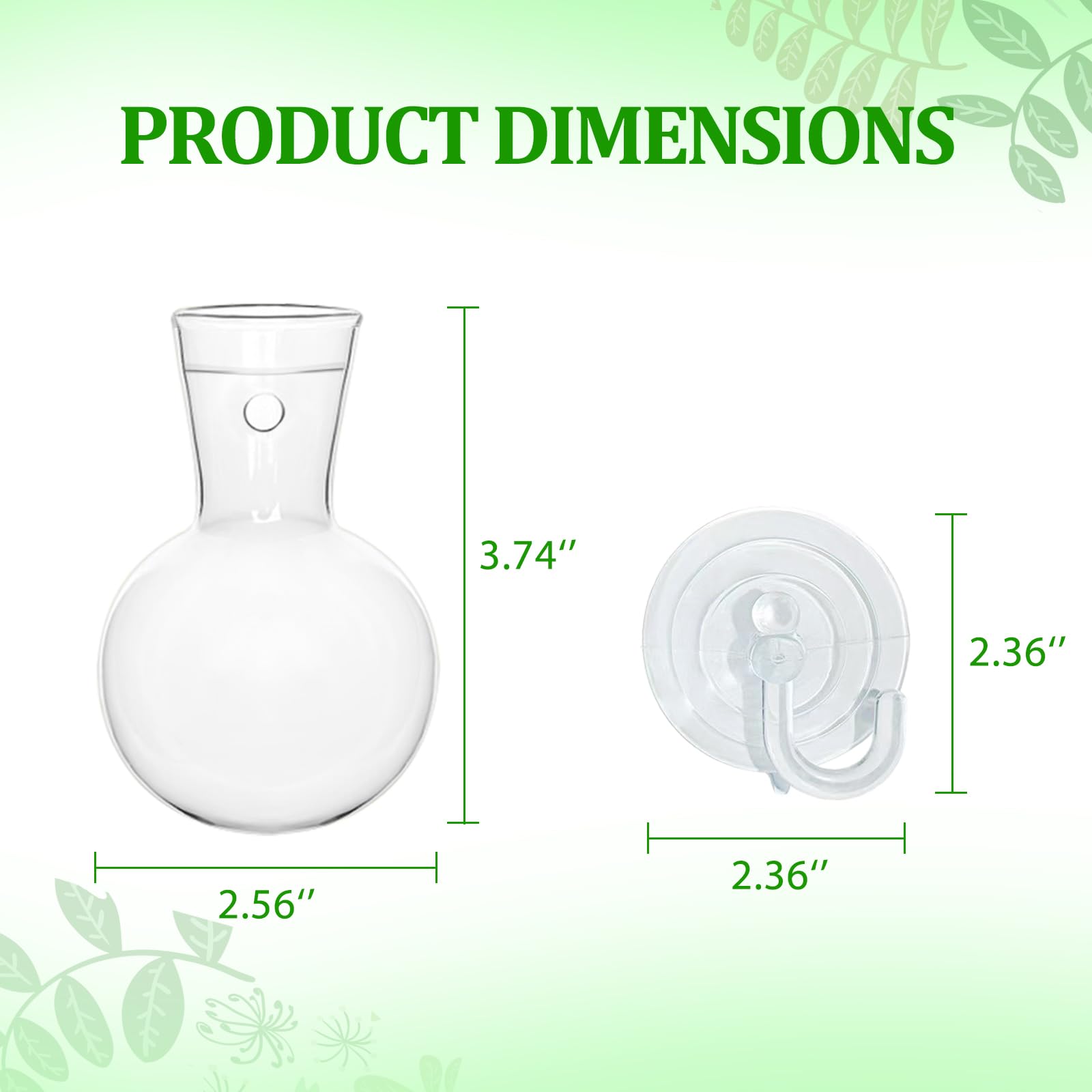 Bunmery propagation bulb beside a ruler to illustrate compact size and space-saving benefit