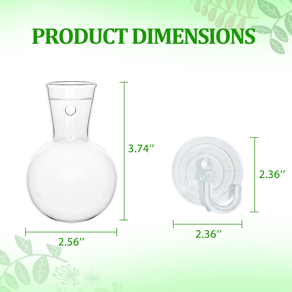 Bunmery propagation bulb beside a ruler to illustrate compact size and space-saving benefit