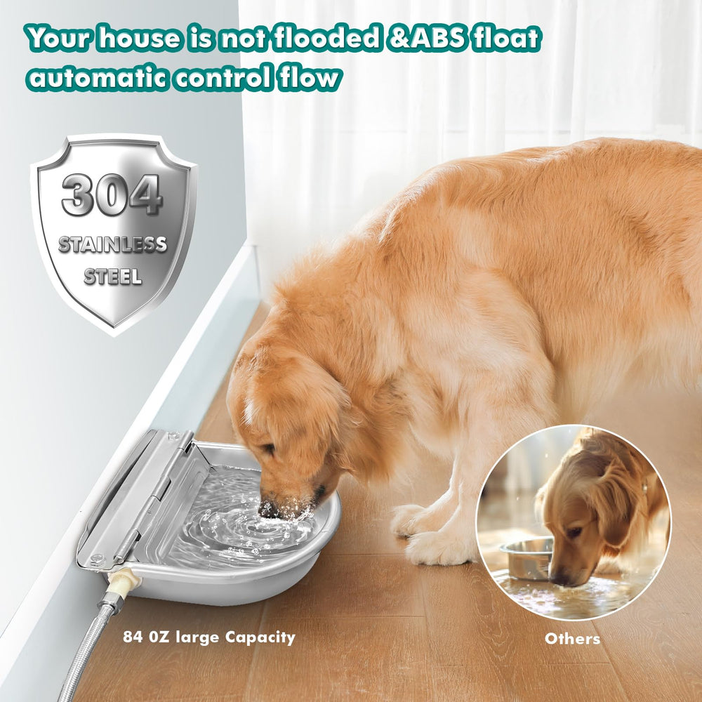 Bwhrmt bowl in use with dog drinking offering hands-free water access