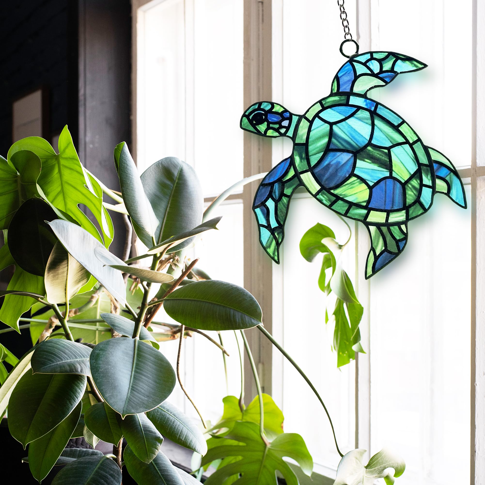BXLZ sea turtle displayed in living room adding colorful accent