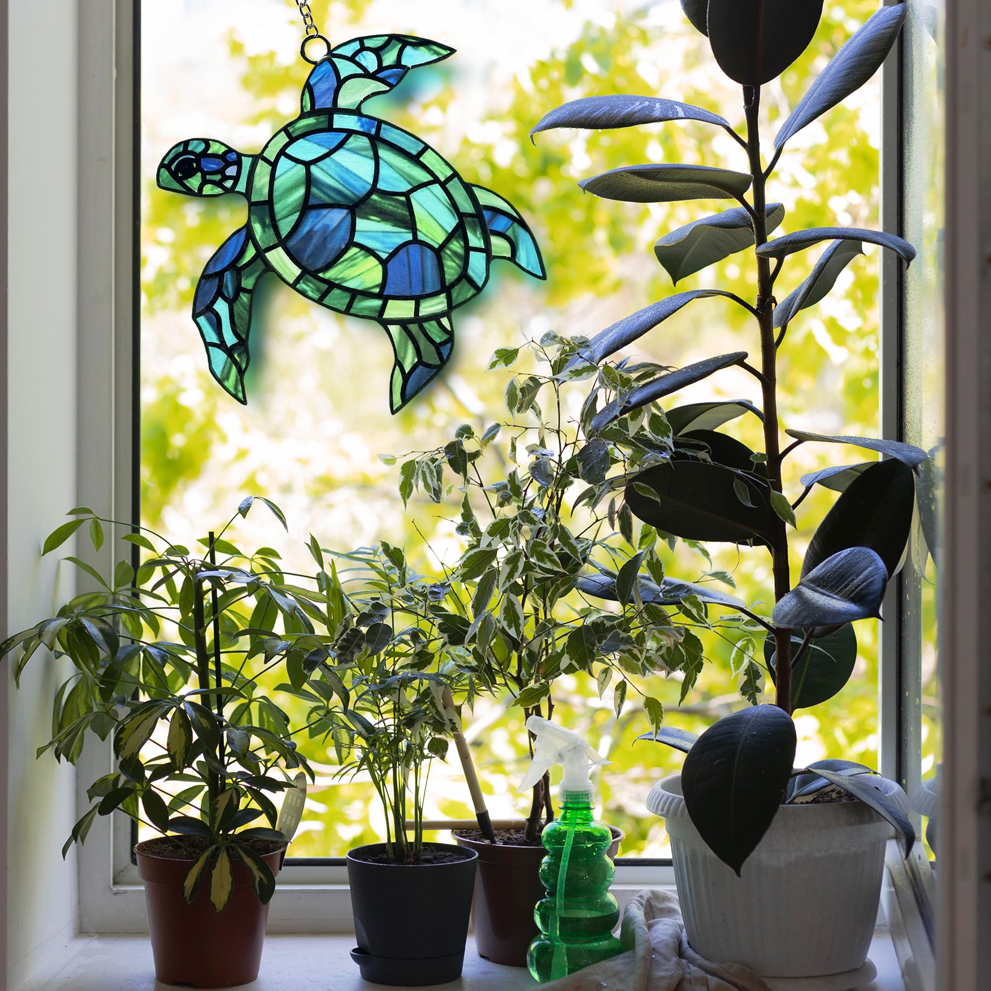 BXLZ sea turtle packaged securely highlighting gift-ready presentation