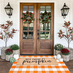 CAINANEL sized at door threshold showing proper 3x5 porch coverage