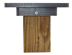 Cauff stainless steel screws displayed with packaging for rust resistance