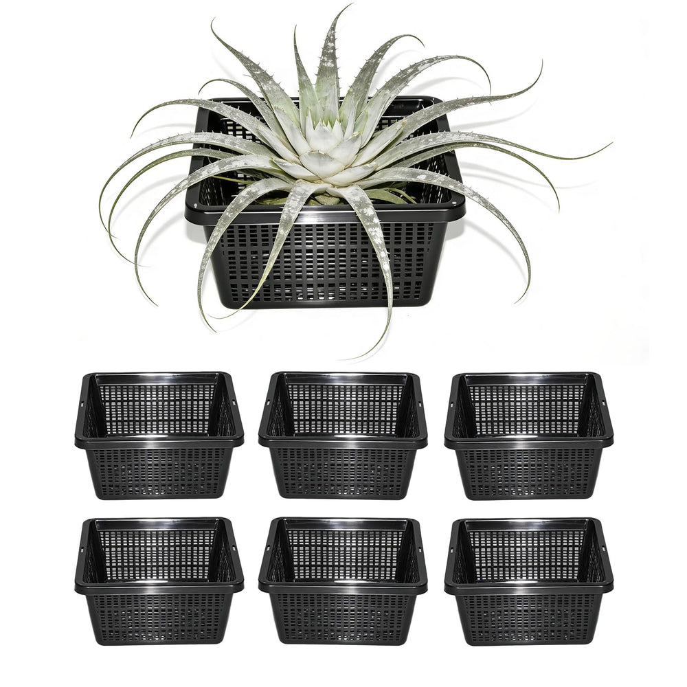 CHTASO front view of square mesh basket showing stable rim and flat base benefit