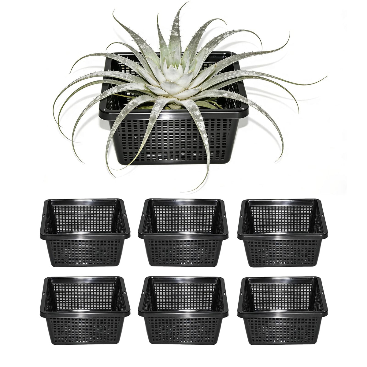 CHTASO front view of square mesh basket showing stable rim and flat base benefit