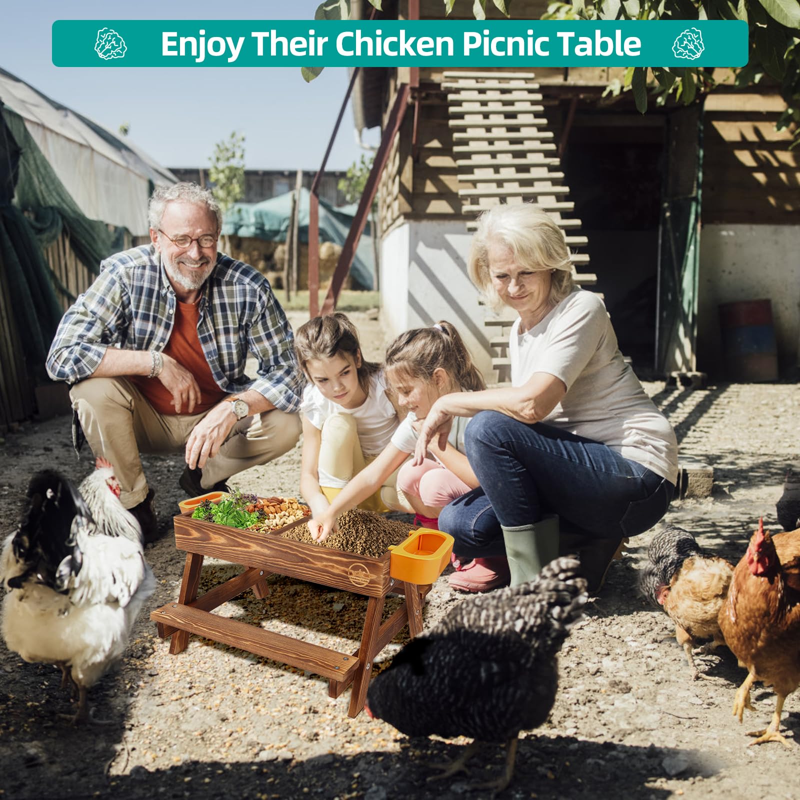CHTSJQW chickens feeding from table highlighting reduced waste benefit