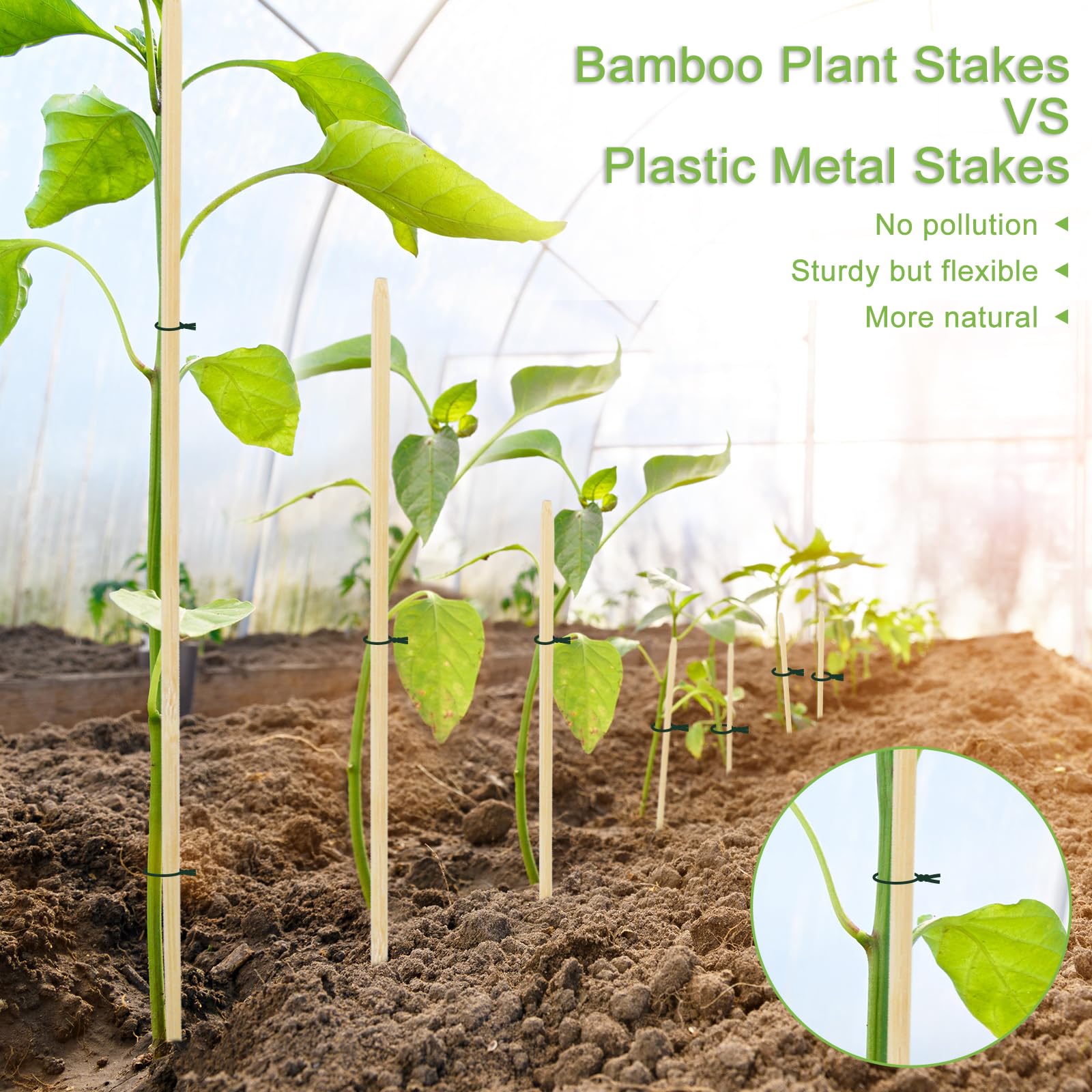 CJFocus close-up of tapered bamboo stake tip for simple soil insertion