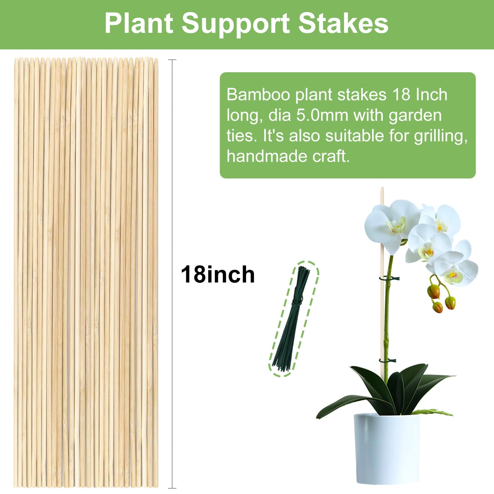 CJFocus stake inserted in potted plant giving upright support and stability
