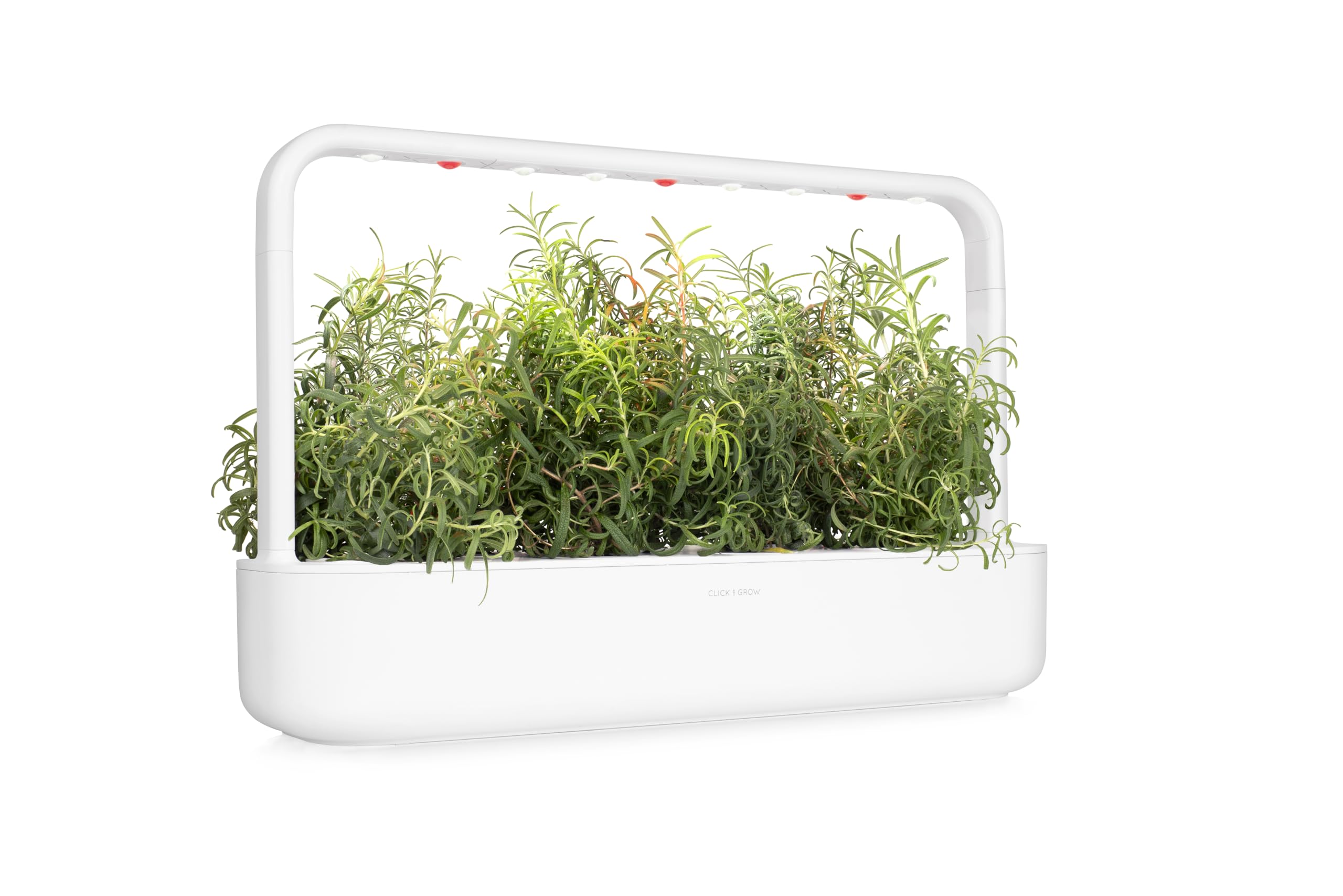 Click and Grow rosemary packaging label and seed information showing clarity