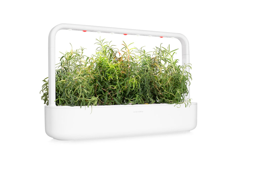 Click and Grow rosemary packaging label and seed information showing clarity