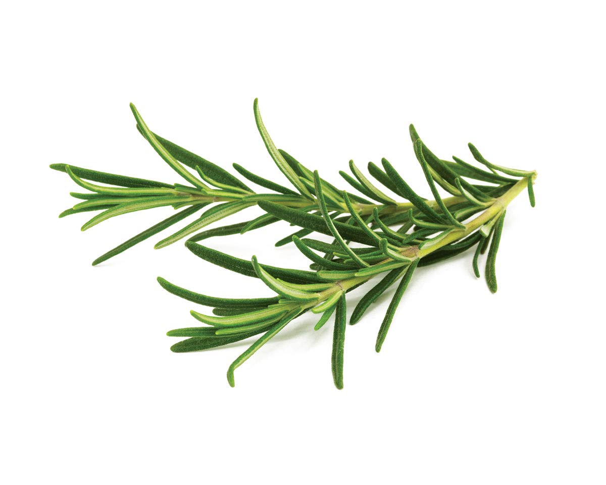 Click and Grow rosemary pod close-up revealing seed cartridge and texture benefits