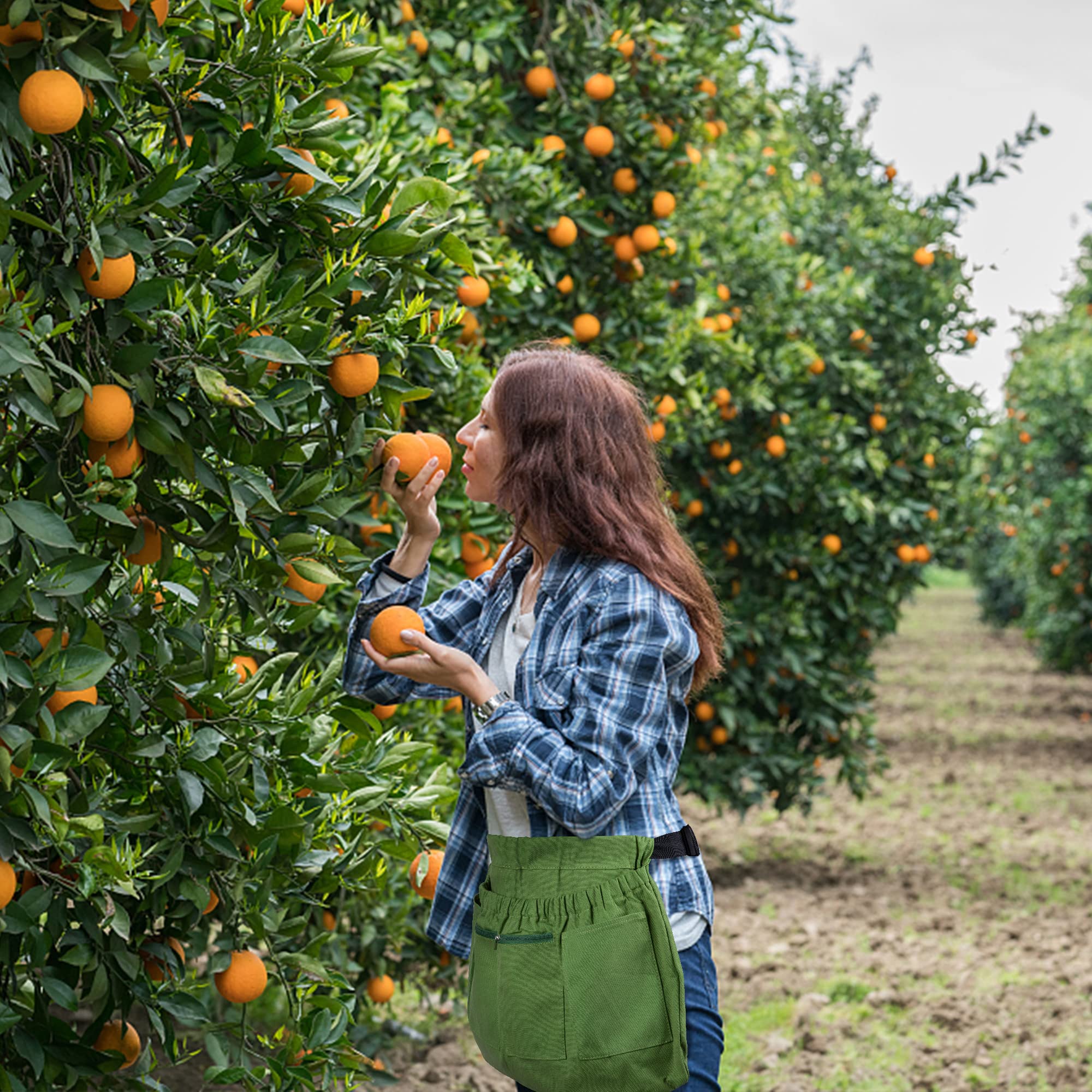 codree apron in use picking berries hands-free harvesting benefit