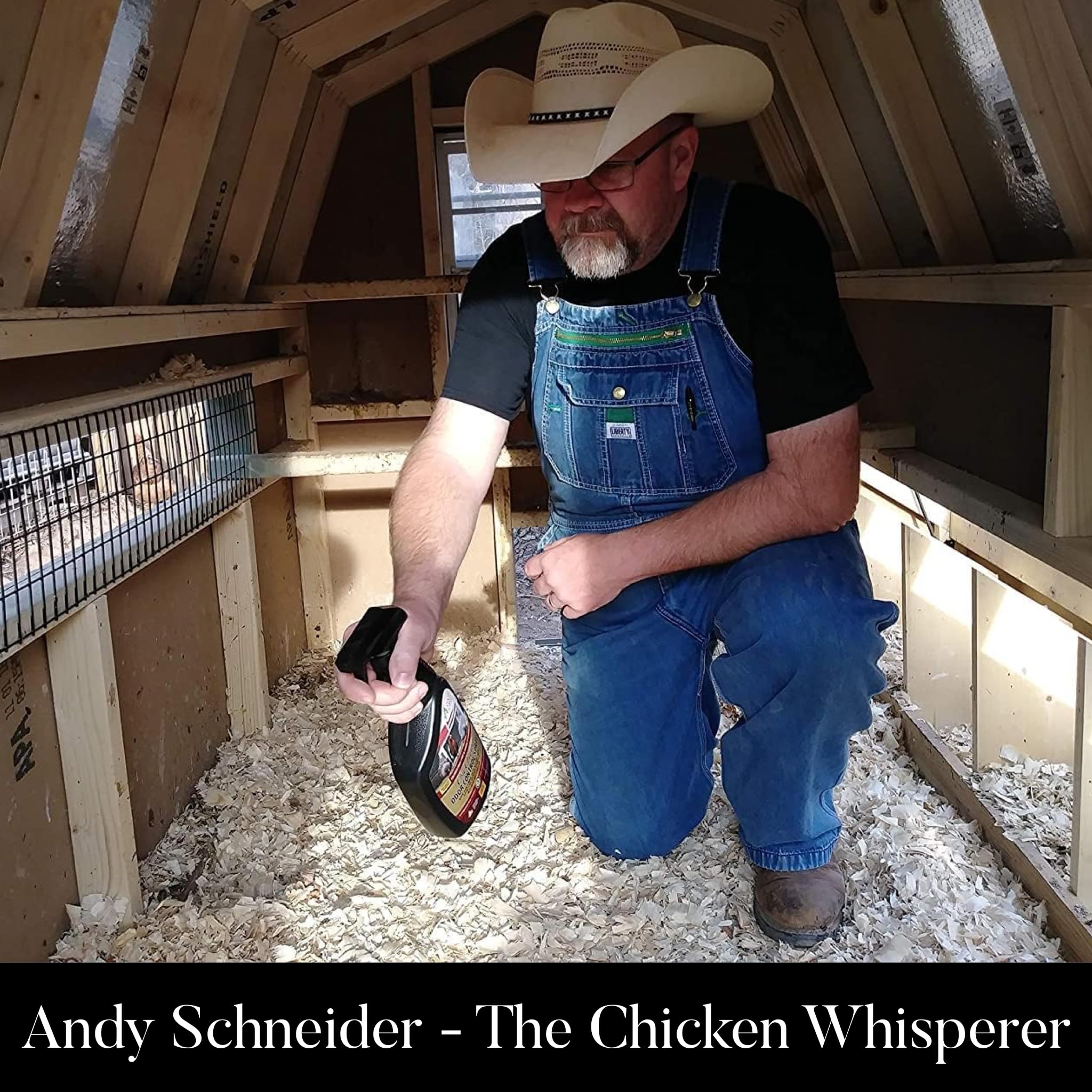 Coop Care used in a brooder with chicks for fresh-smelling bedding