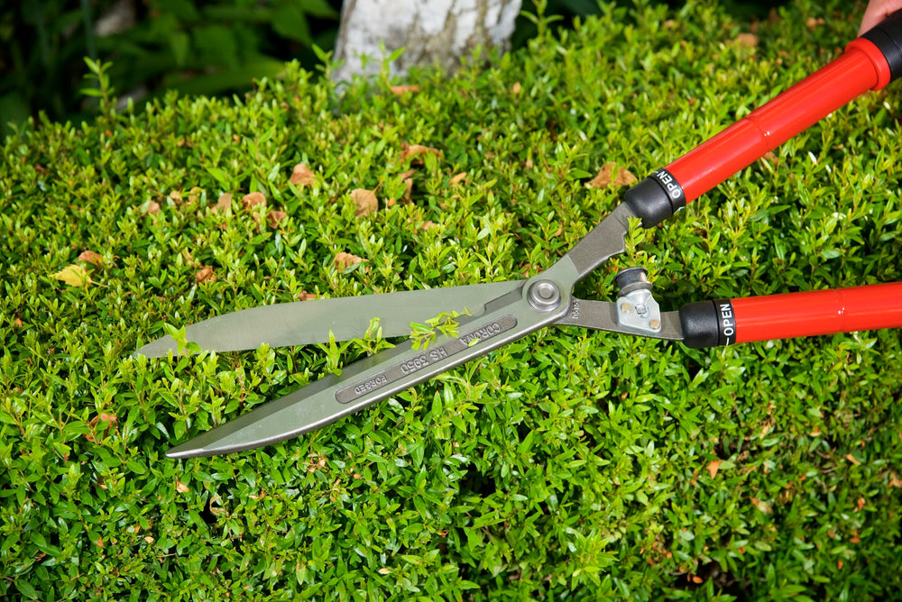 Corona Clipper HS 3950 in a landscaped yard showing professional-looking hedge shaping benefit