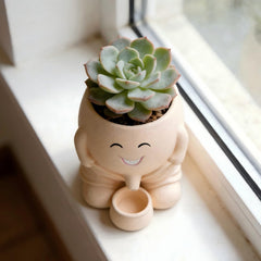 CRENGYBL planter with succulent demonstrating healthy plant fit
