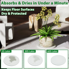 Creproly saucer supporting a potted plant demonstrating spill control and stability