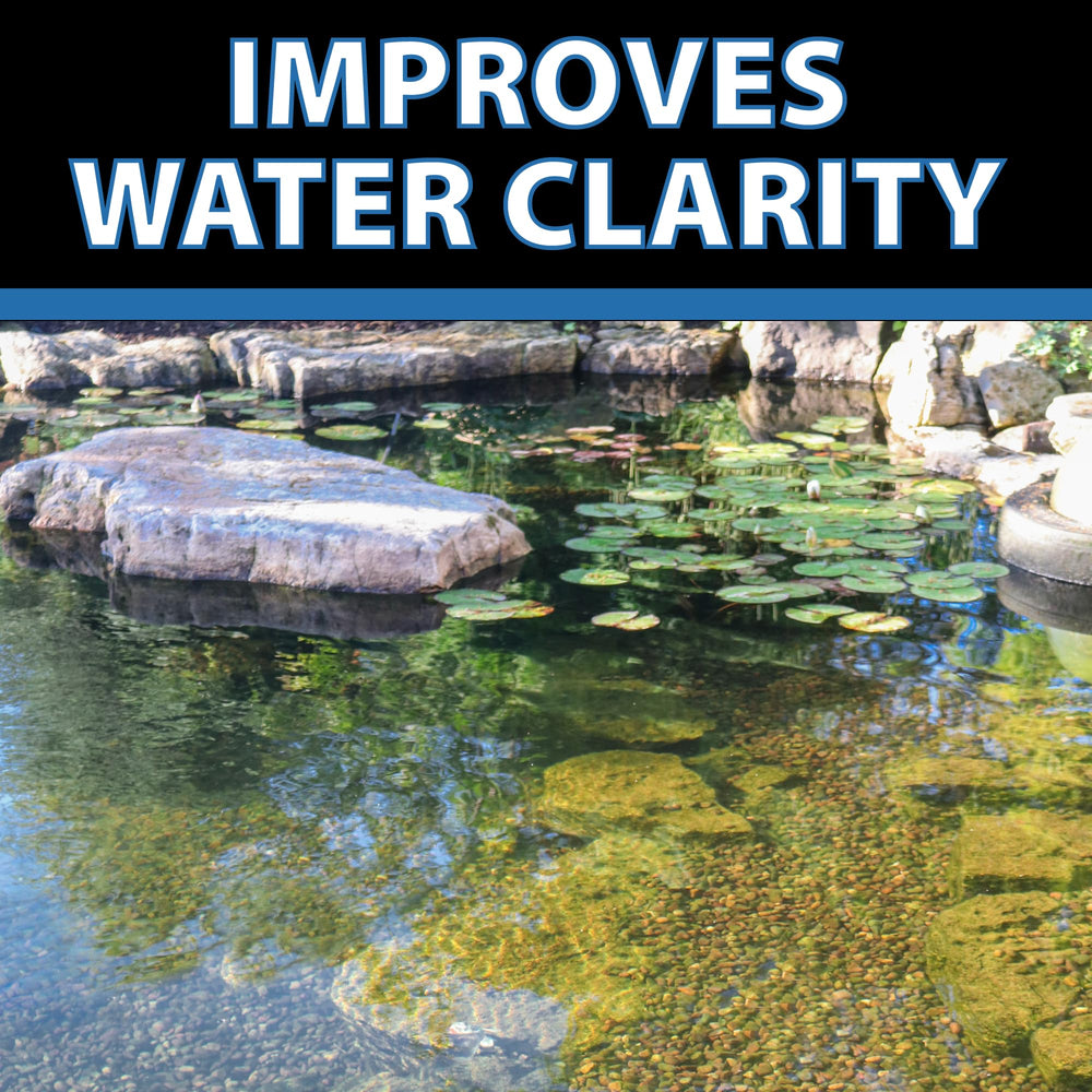 CrystalClear bottle placed by a koi pond highlighting safe use
