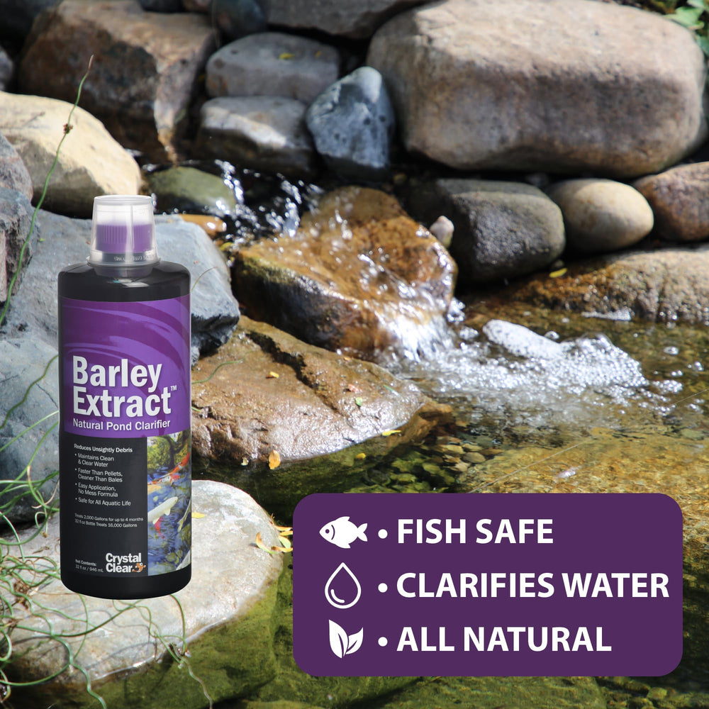 CrystalClear being poured into a pond to reduce debris quickly