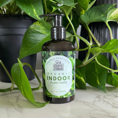 Cute Farms being applied to a potted philodendron to support healthy foliage