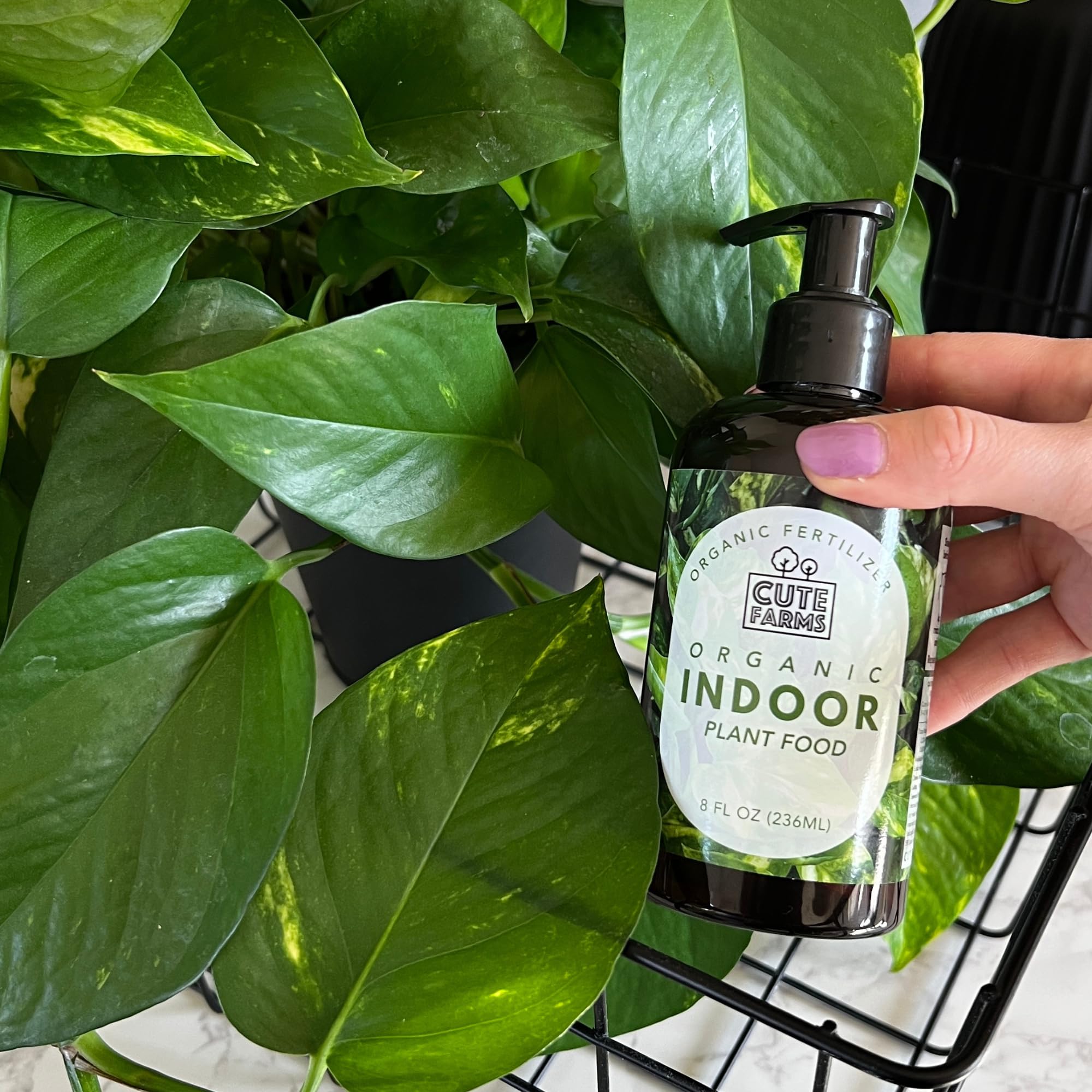 Cute Farms 8 oz bottle next to a hand to show compact size and travel-friendly benefit