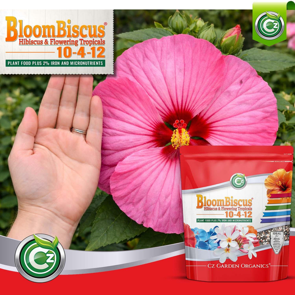 Cz Garden Supply used on plumeria in a pot showcasing healthier blooms