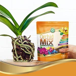 Cz Garden expanded clay pebbles close-up improving drainage and root stability