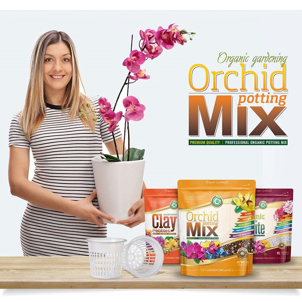 Cz Garden potting mix in use with phalaenopsis showing immediate planting benefit
