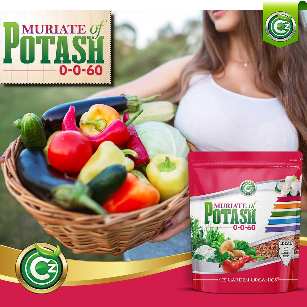 Cz Garden Supply applied to container plants illustrating targeted potassium support