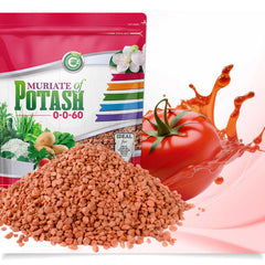 Cz Garden Supply close-up granules texture demonstrating water-soluble potassium benefit